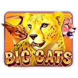 Big Cats Slots