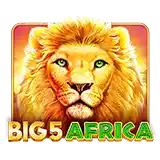 Big 5 Africa slots