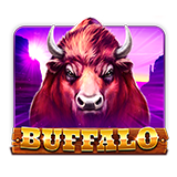 Buffalo-slot icon