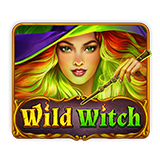 Wild Witch Slots