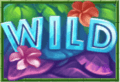 Hawaii_slot_special_Wild_Jungle_128