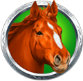 buffalo_slot_hi_Horse_Head_574