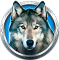 buffalo_slot_hi_Wolf_Head_582