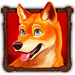 Wild_Australia_dingo