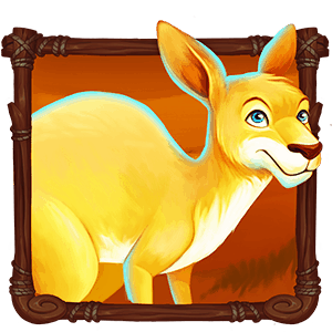Wild_Australia_roo