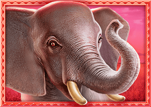Big_5_Africa_4