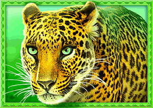 Big_5_Africa_6