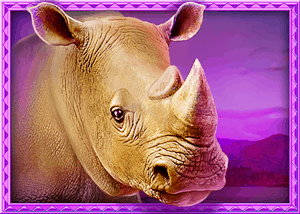 Big_5_Africa_7