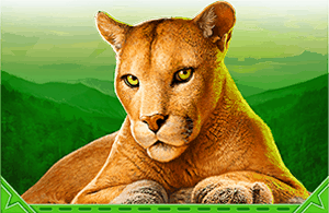 social slots casino