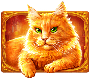 Wild-Witch_cat