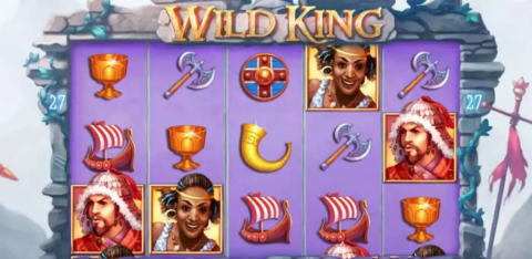 Wild King Slot Game Dashboard