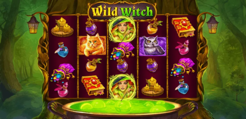Wild Witch Slot Game Dashboard