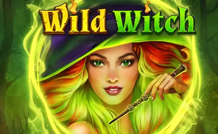 Wild Witch SLot: VIP Slots