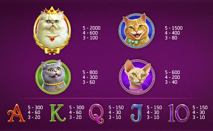 Wild Kitties in Slot Machine